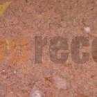 Recepty – Krtkův dort na plechu